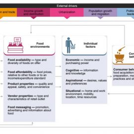 Control table for food system – system for information about new food control policy